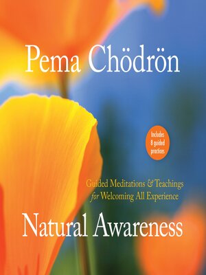 cover image of Natural Awareness